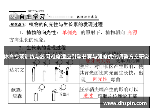 体育专项训练与练习难度适应引擎节奏与强度优化调整方案研究