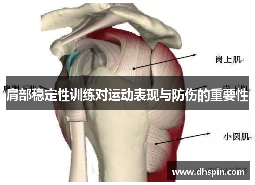肩部稳定性训练对运动表现与防伤的重要性